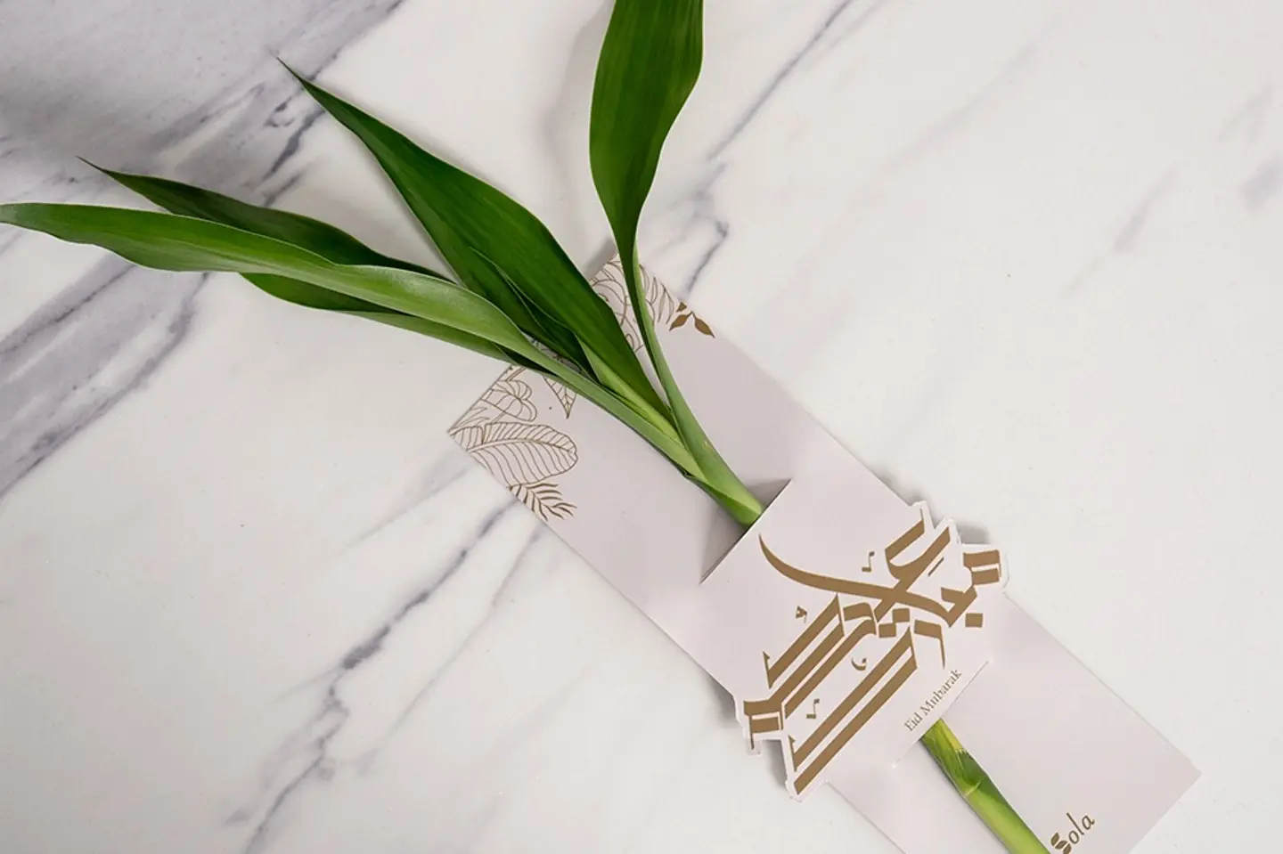 تاق ساق البامبو بثيم العيد