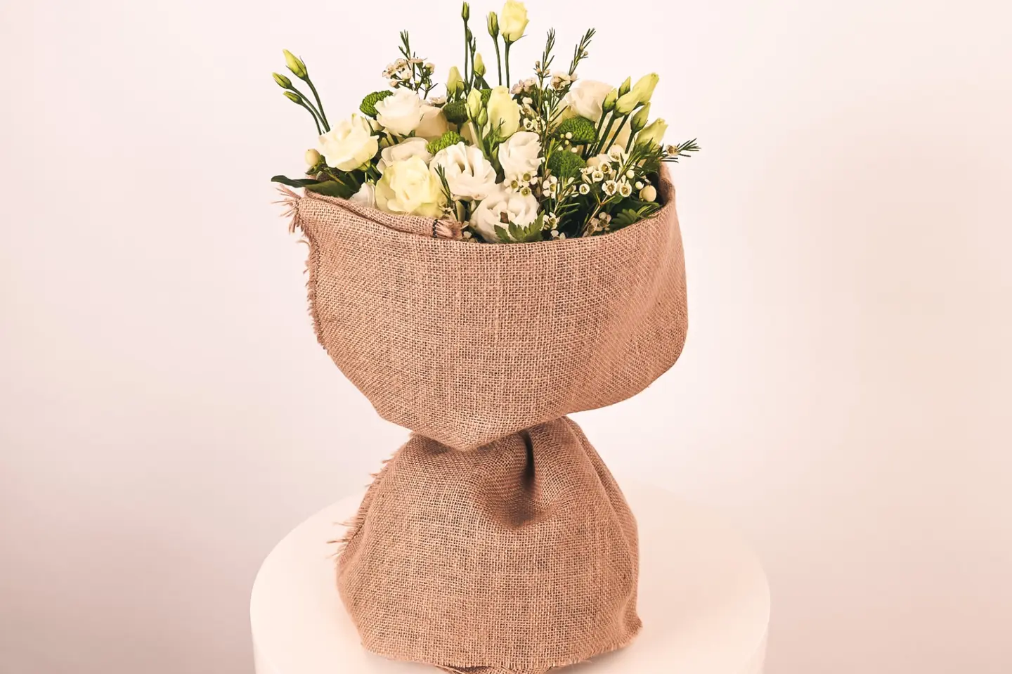 الباقه الافته البيضاء