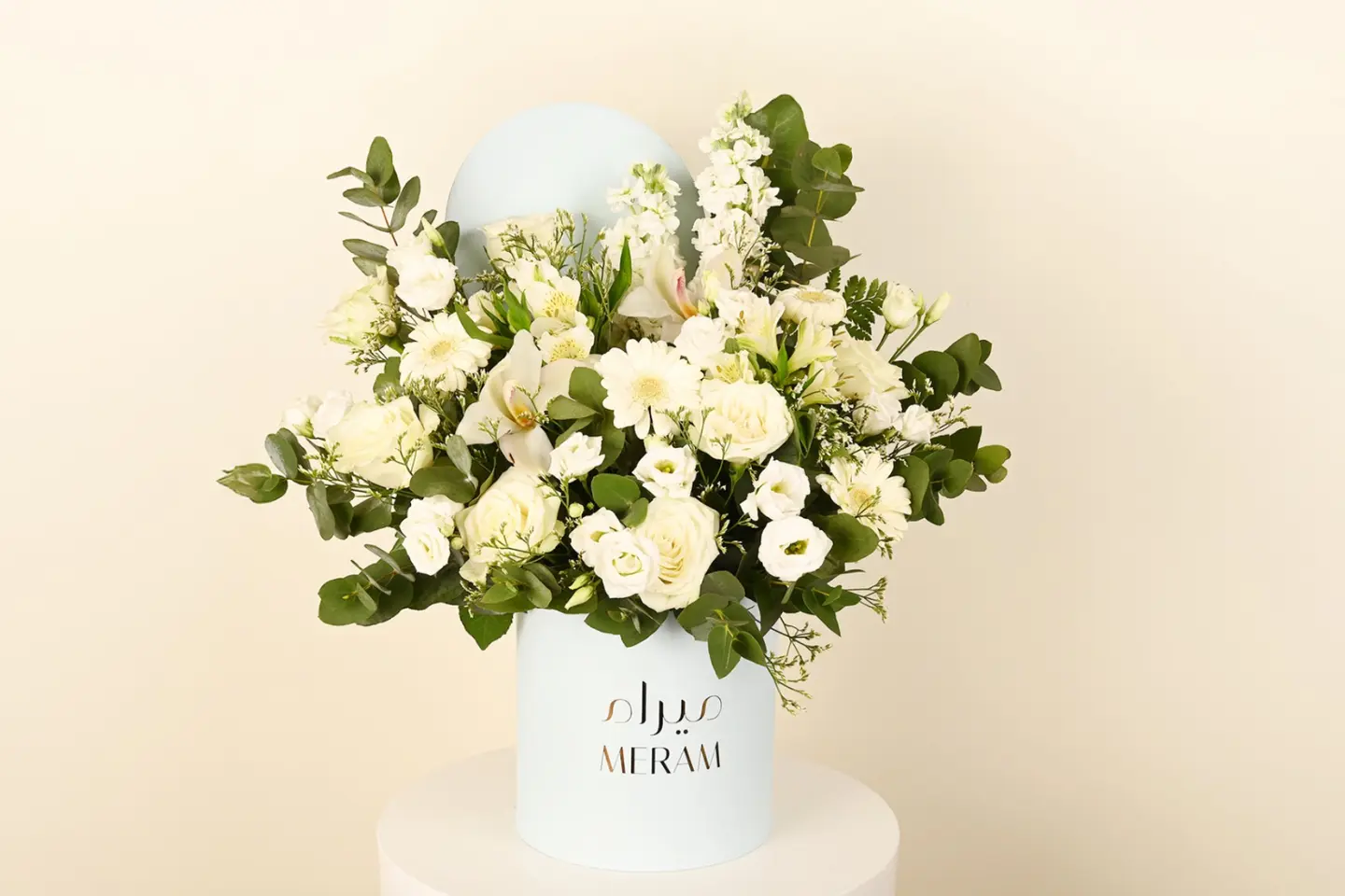 بوكس ميرام الأزرق