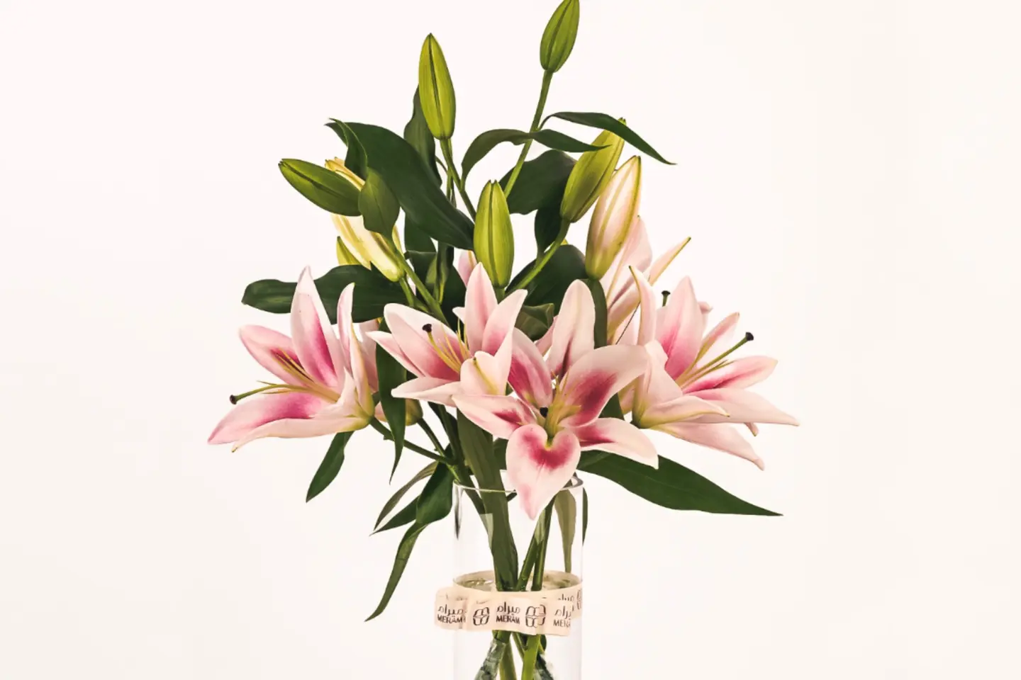 فازه الكازابلانكا