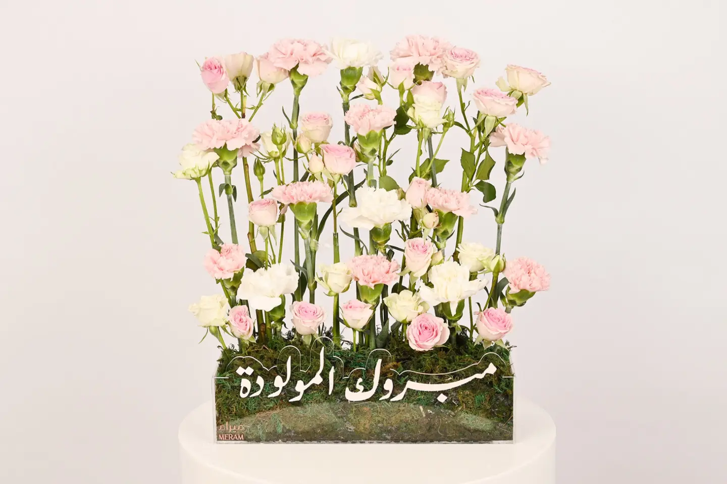 تقديمه مبروك المولوده