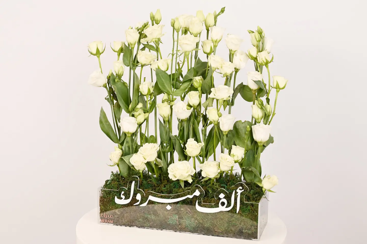 تقديمة الف مبروك