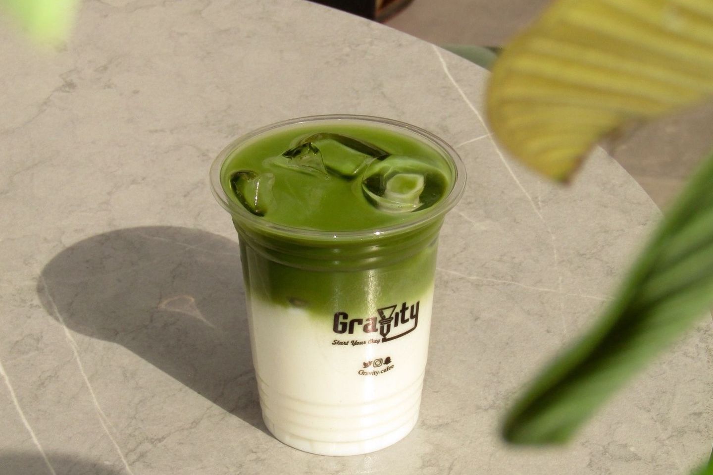 Ice Matcha