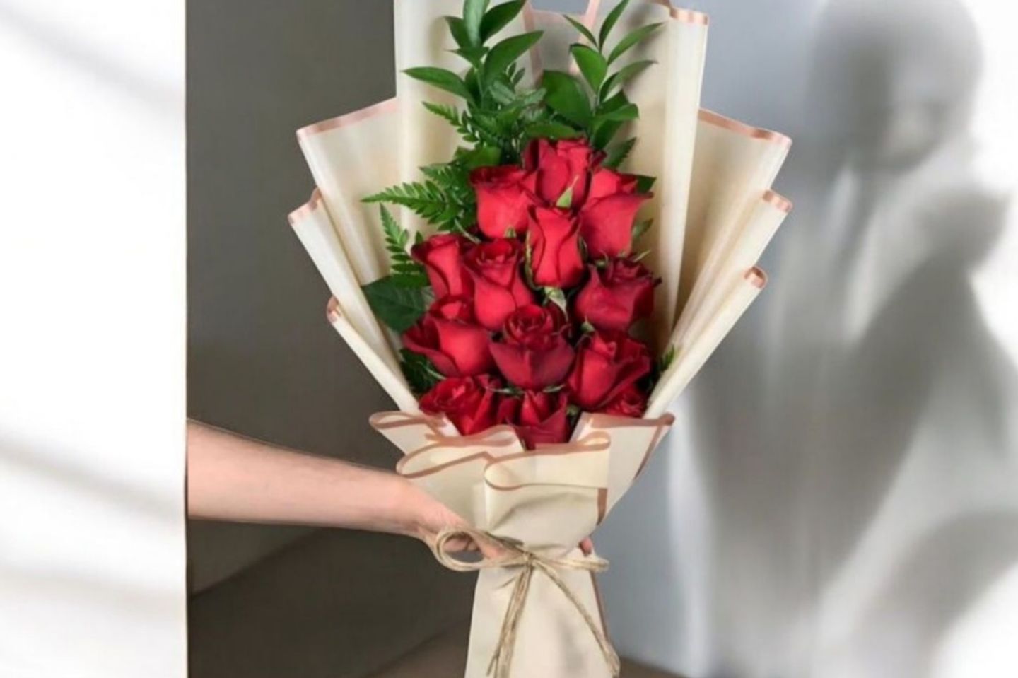 Rose 23