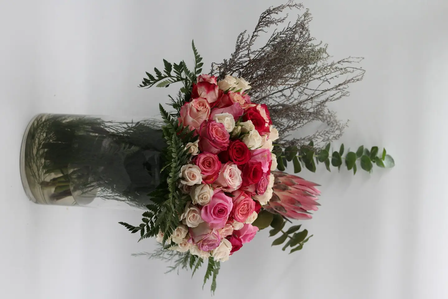 وردة و شتلة ٠٠٠٤٣