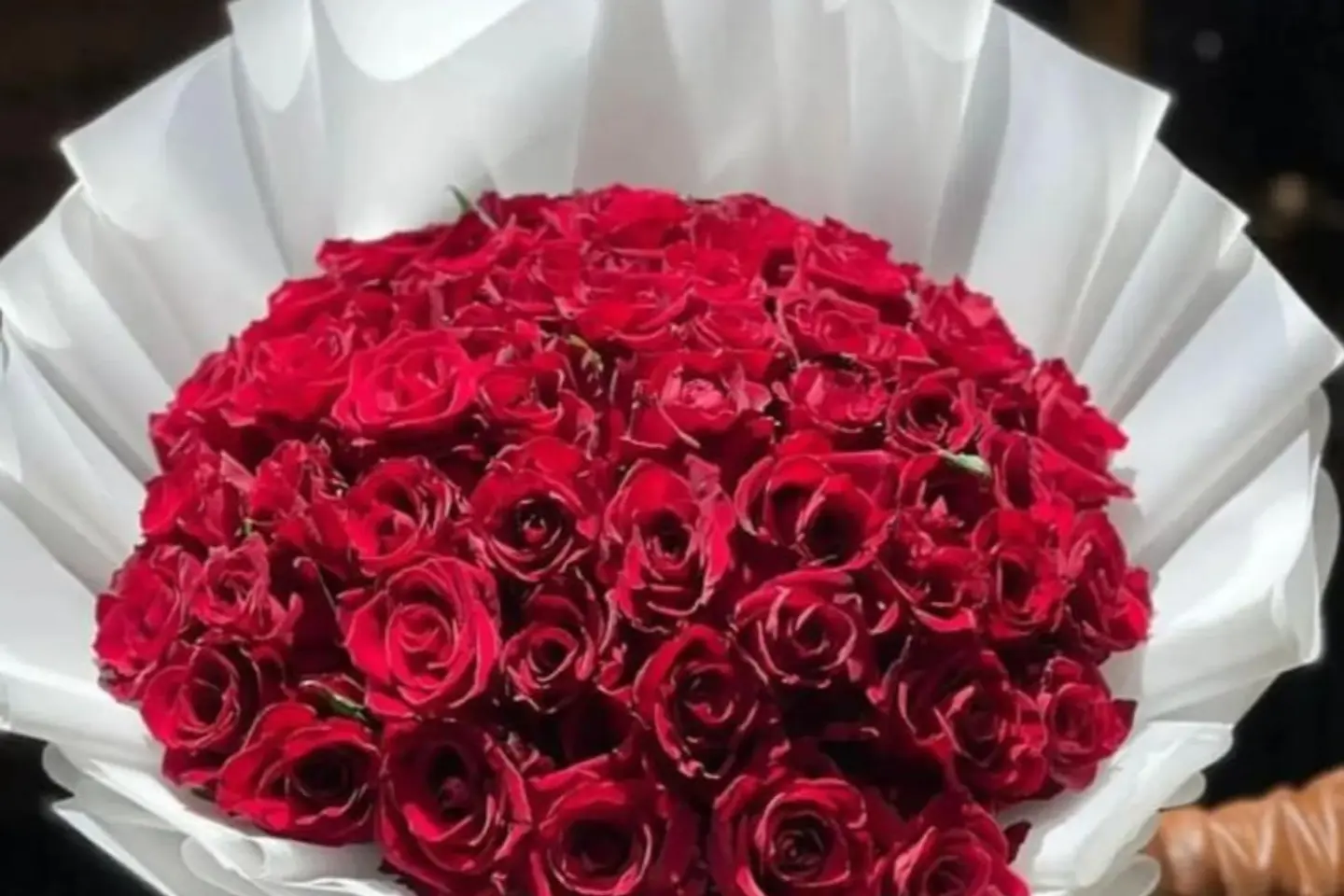 Covenant Of Love