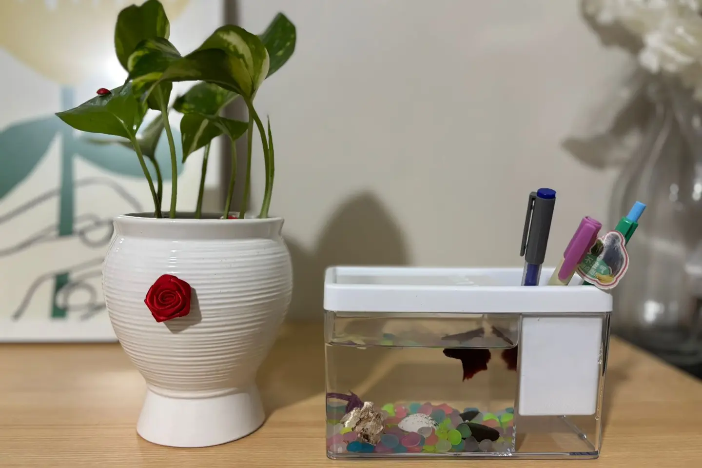 هدية مكتبية أنيقة