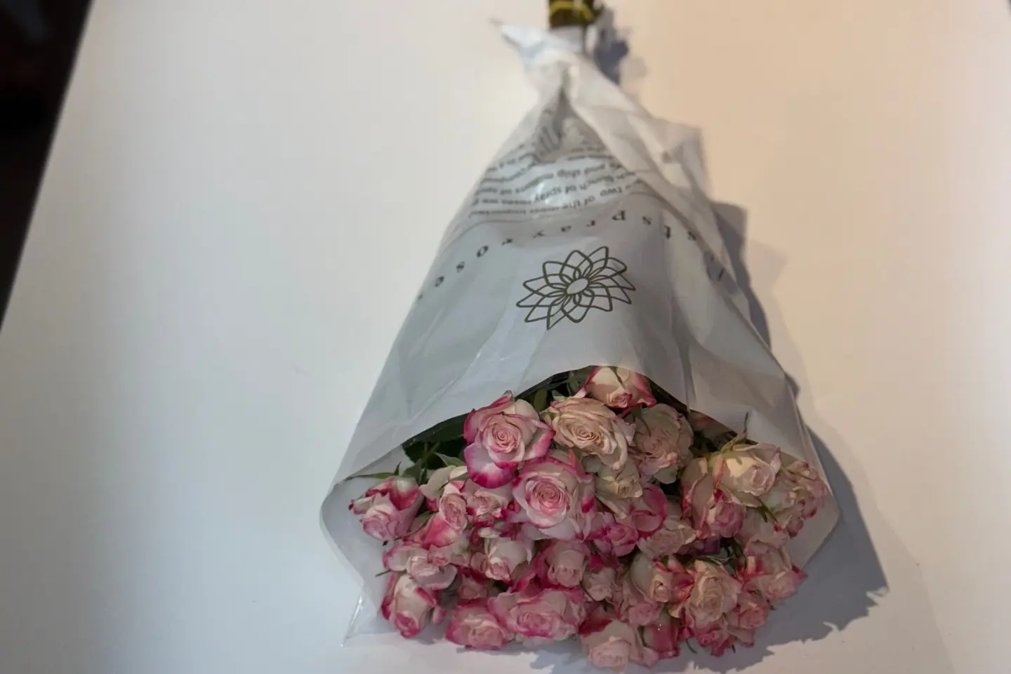 Baby Jori Bundle   Pink With White