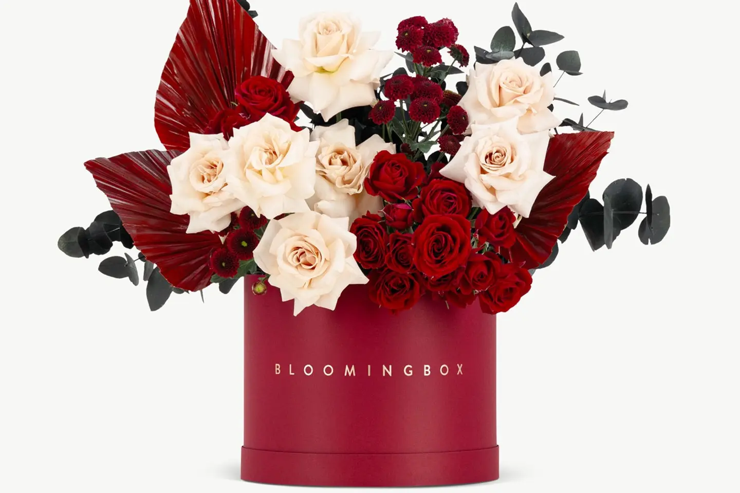 بوكس ادور كبير