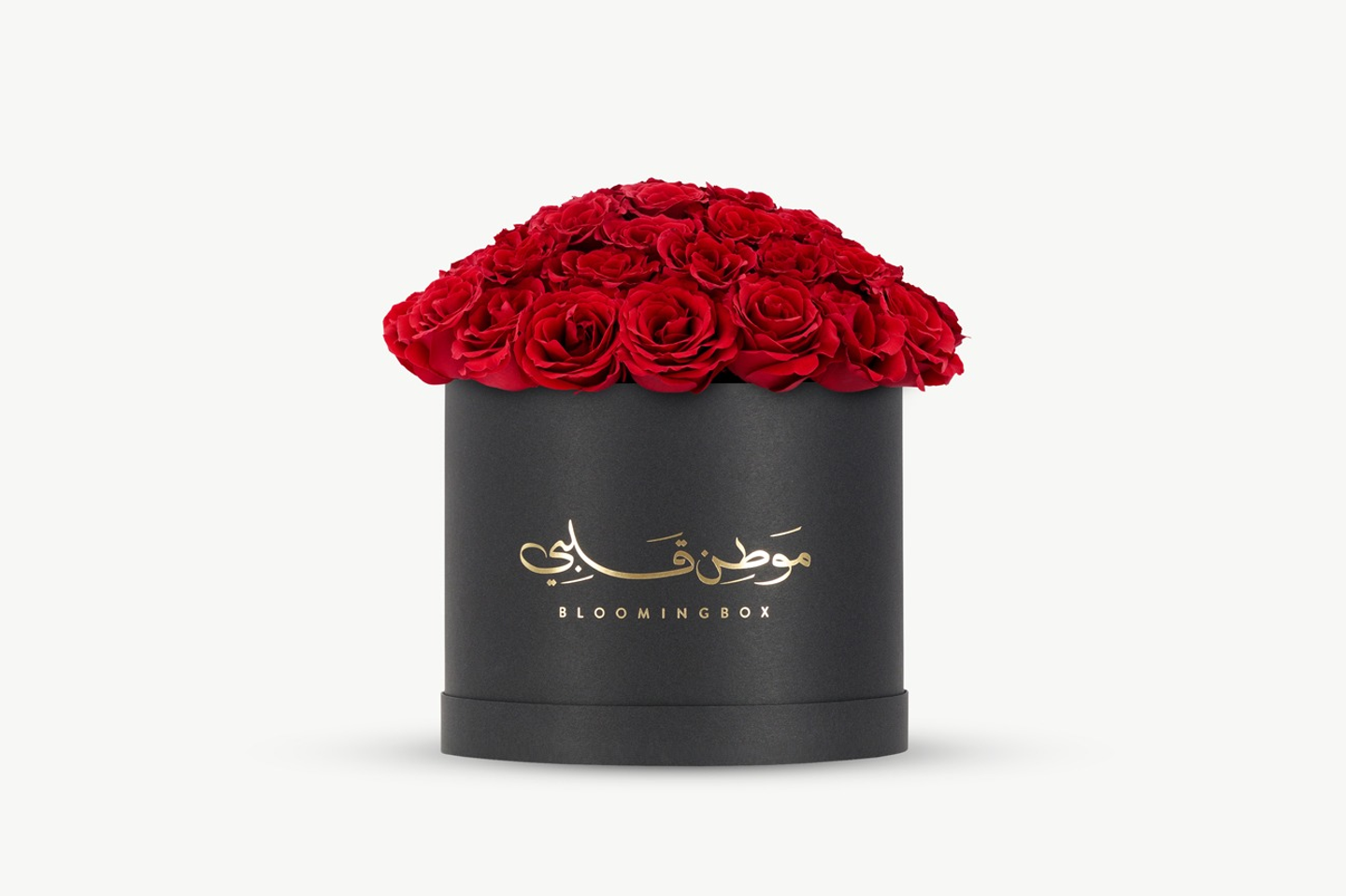 بوكس روز كبير