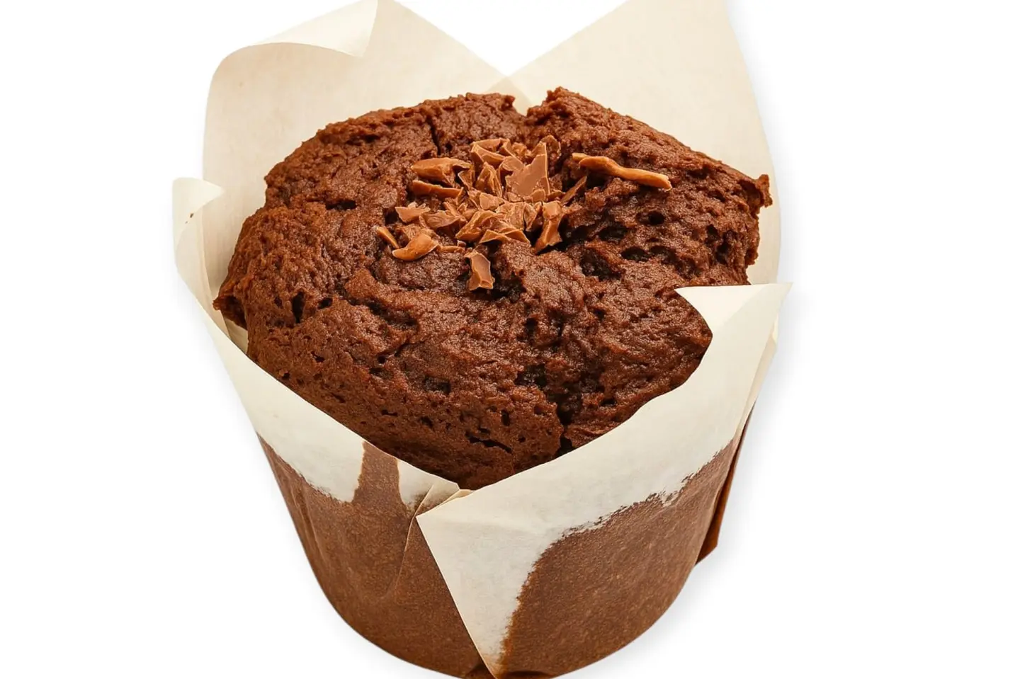 Chocolate Muffin