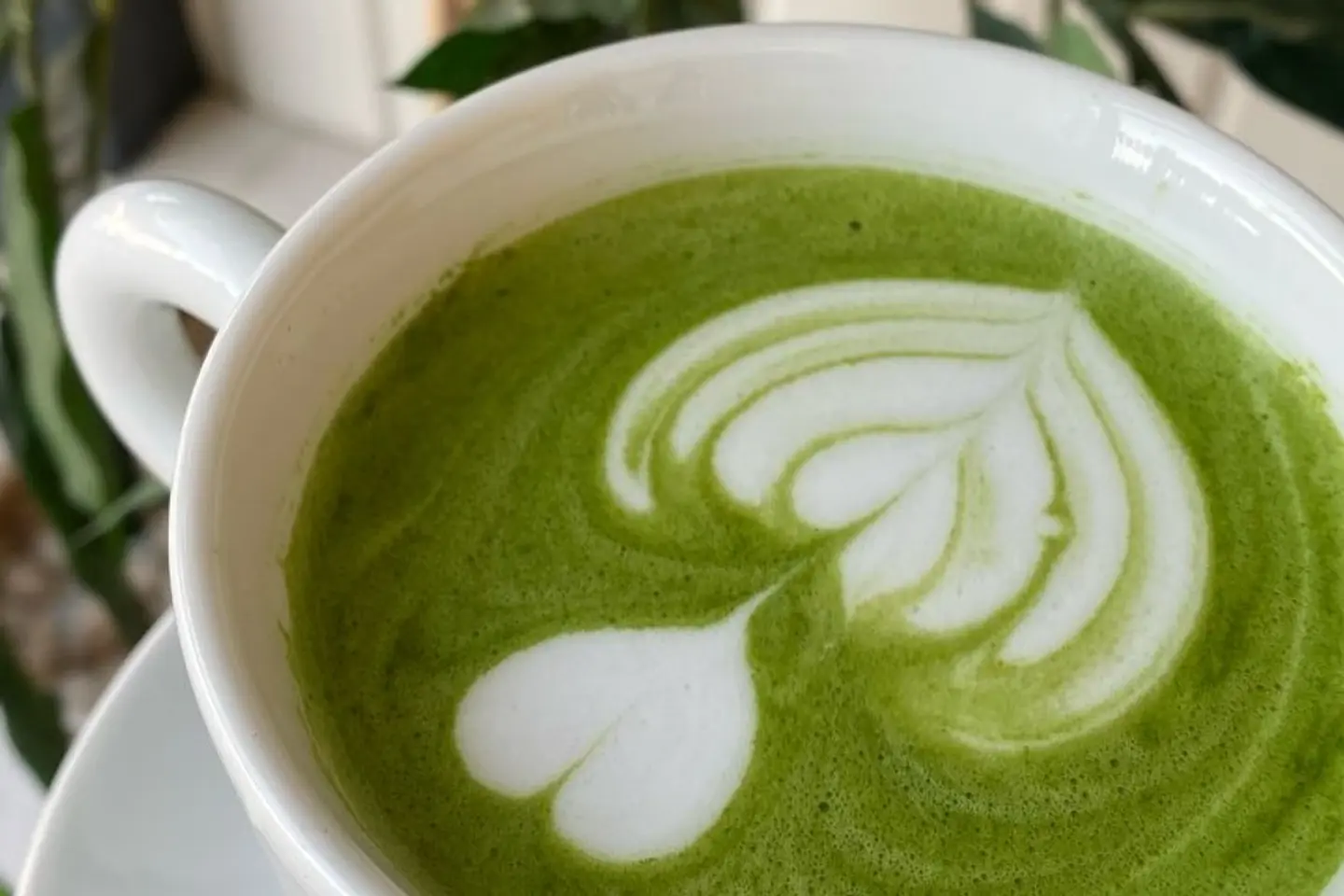 Special Matcha Latte