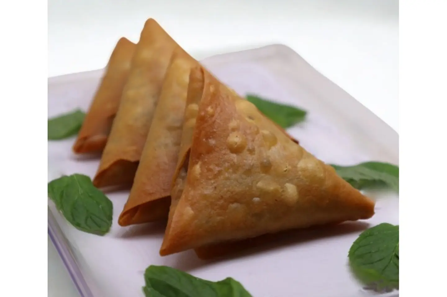 Frozen Meat Sambosa