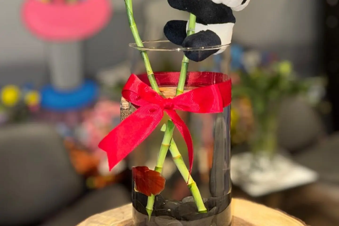 فازة البامبو والباندا المتسلق مع الشريطة الحمراء