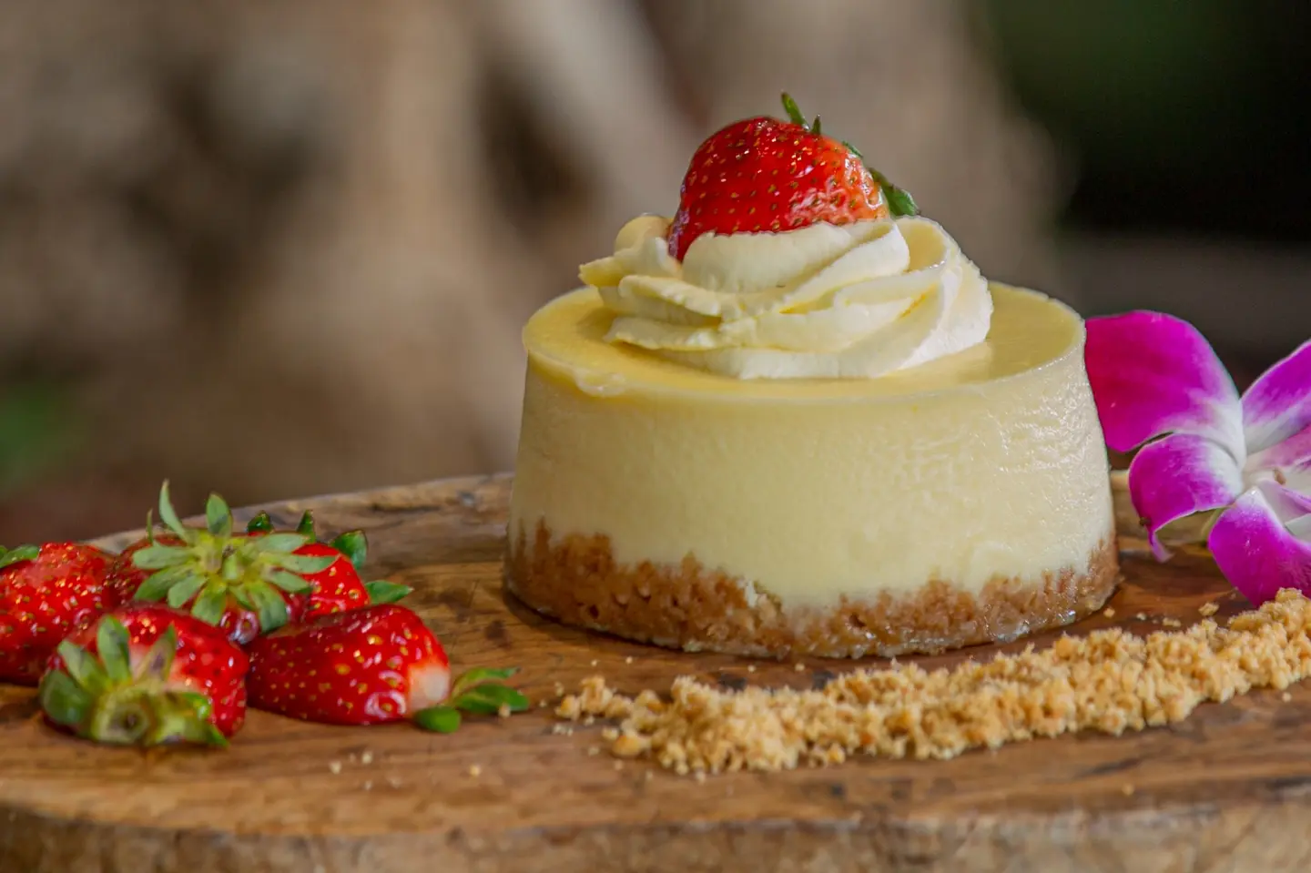 New York Cheesecake