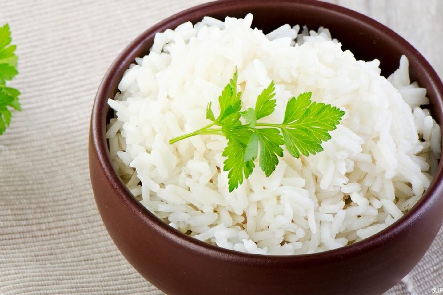 رز ابيض