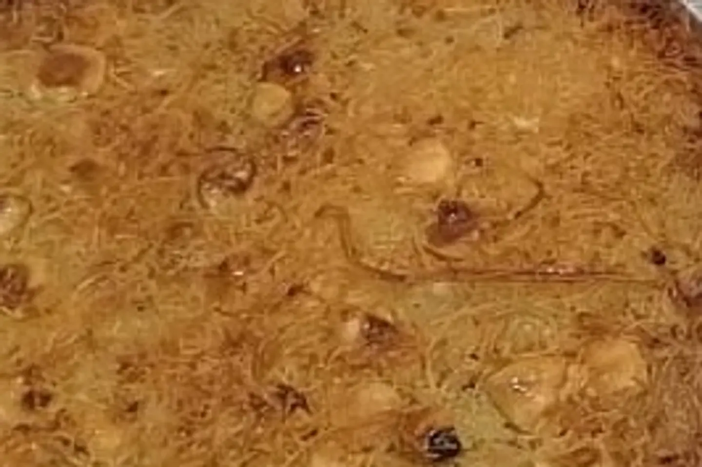 كنافه بالسمنه البلدى والمكسرات