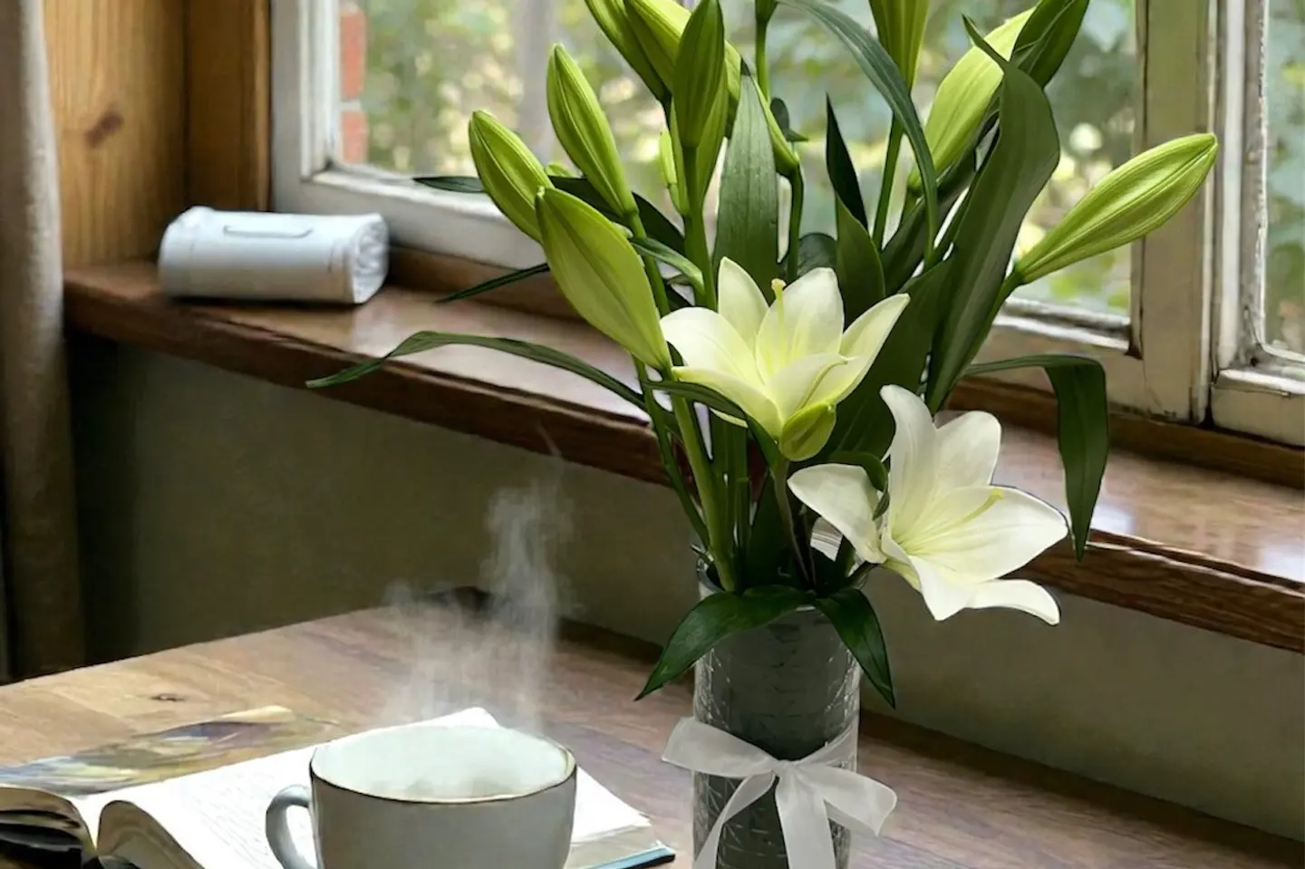 تنسيق طبيعي ٥