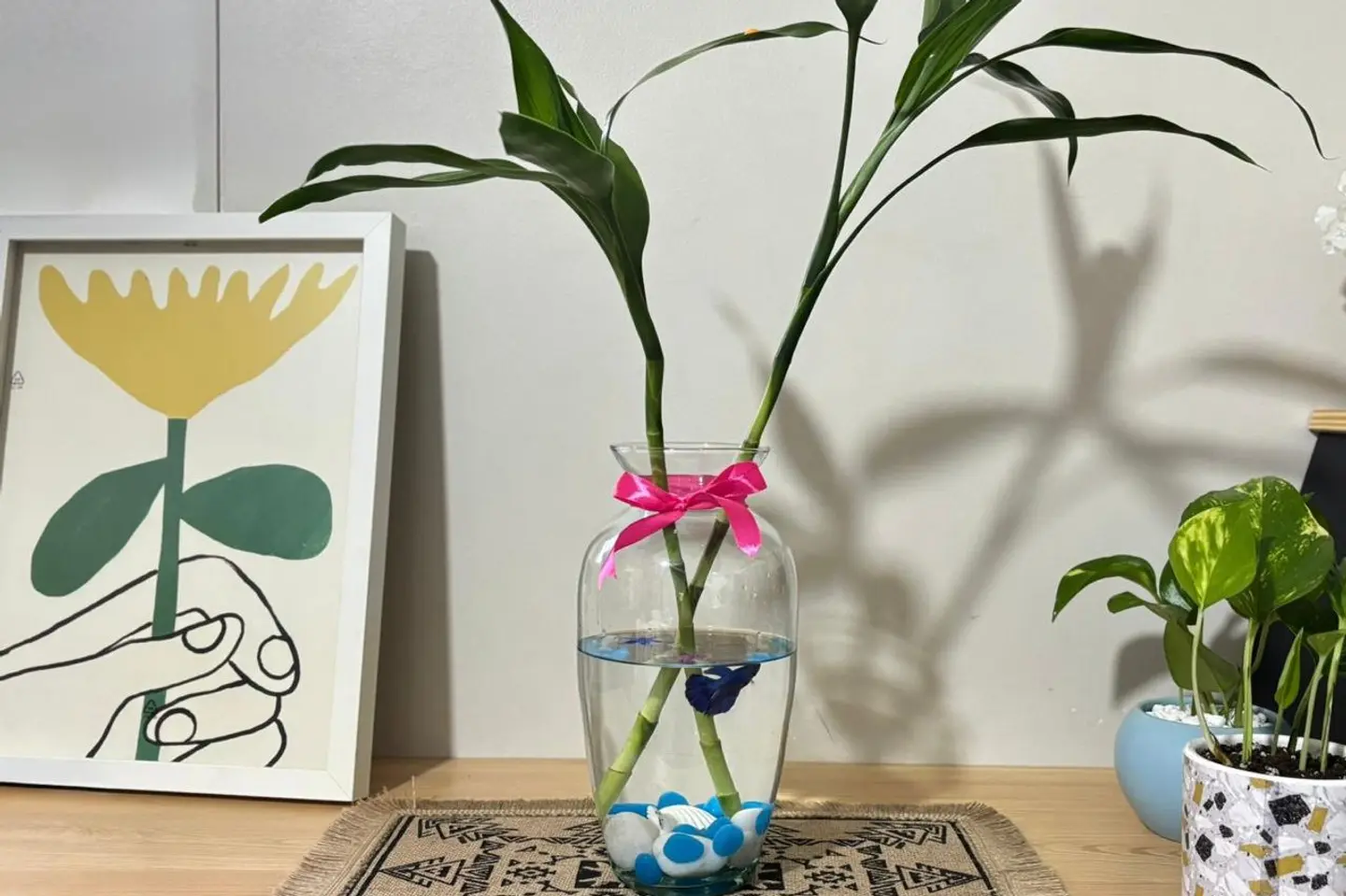 هدية فايتر بامبو أنيقة