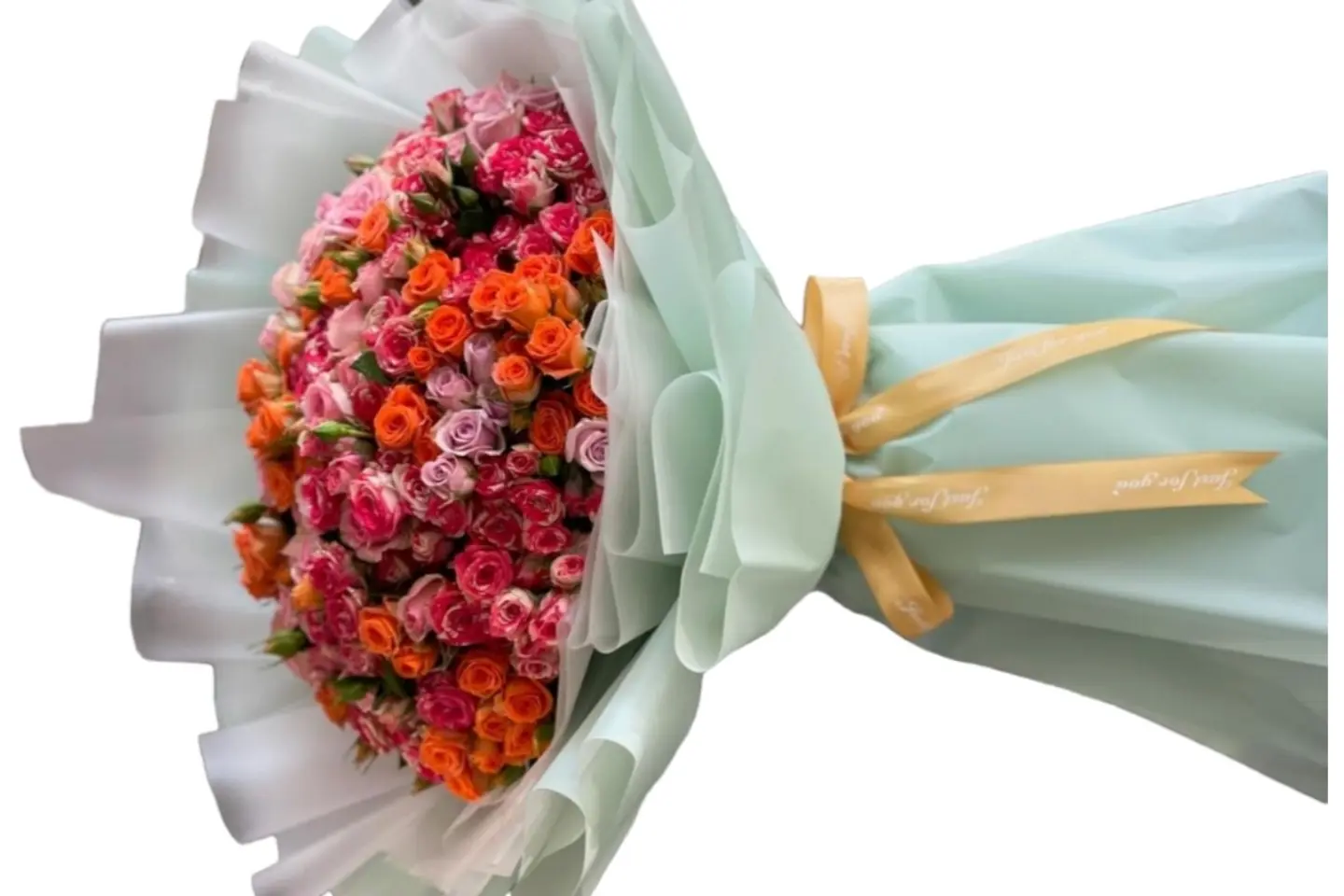 وردة و شتلة ٠٠١٥٣