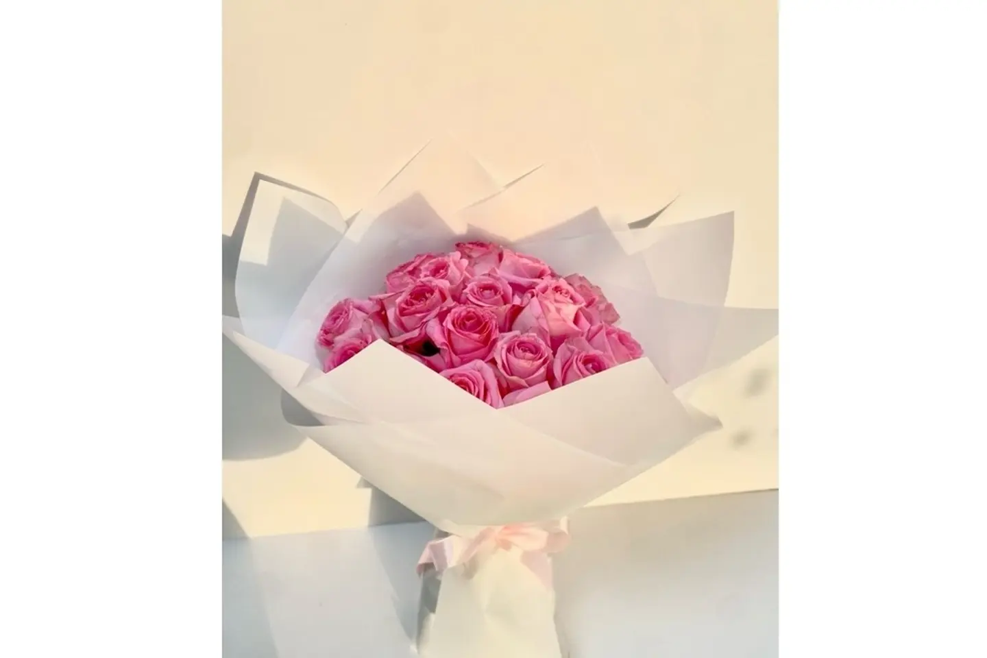 Protea 20
