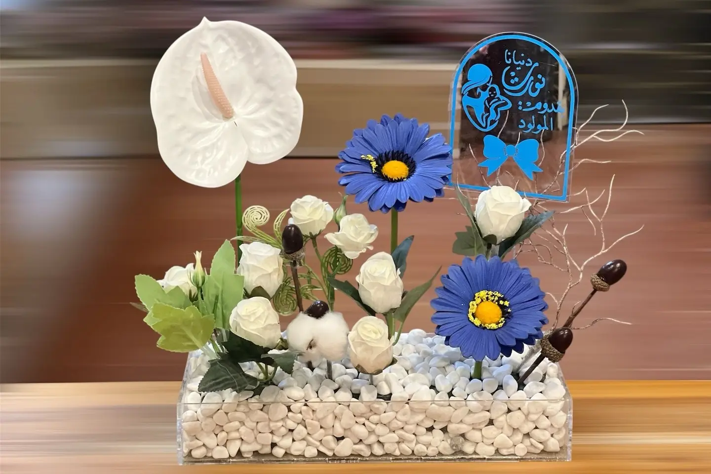 ستاند مواليد