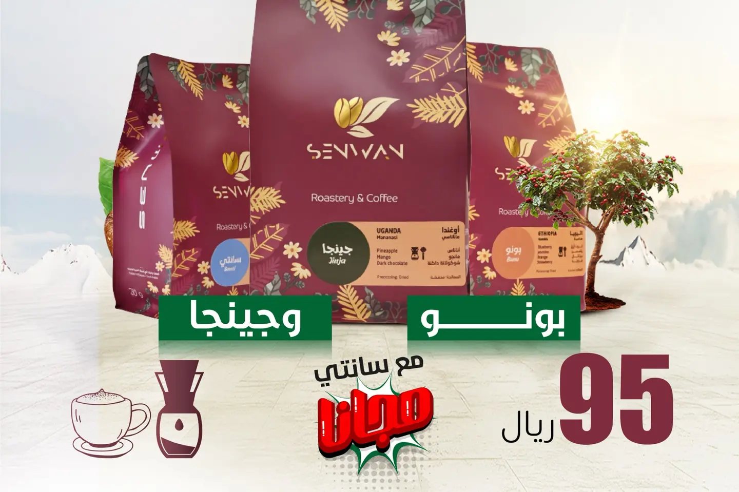 بونو + جينجا + سانتي مجاناً