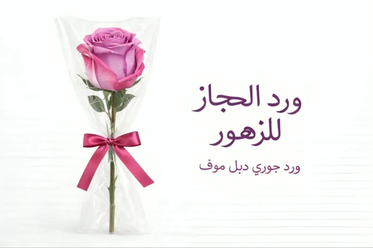 Rose   567