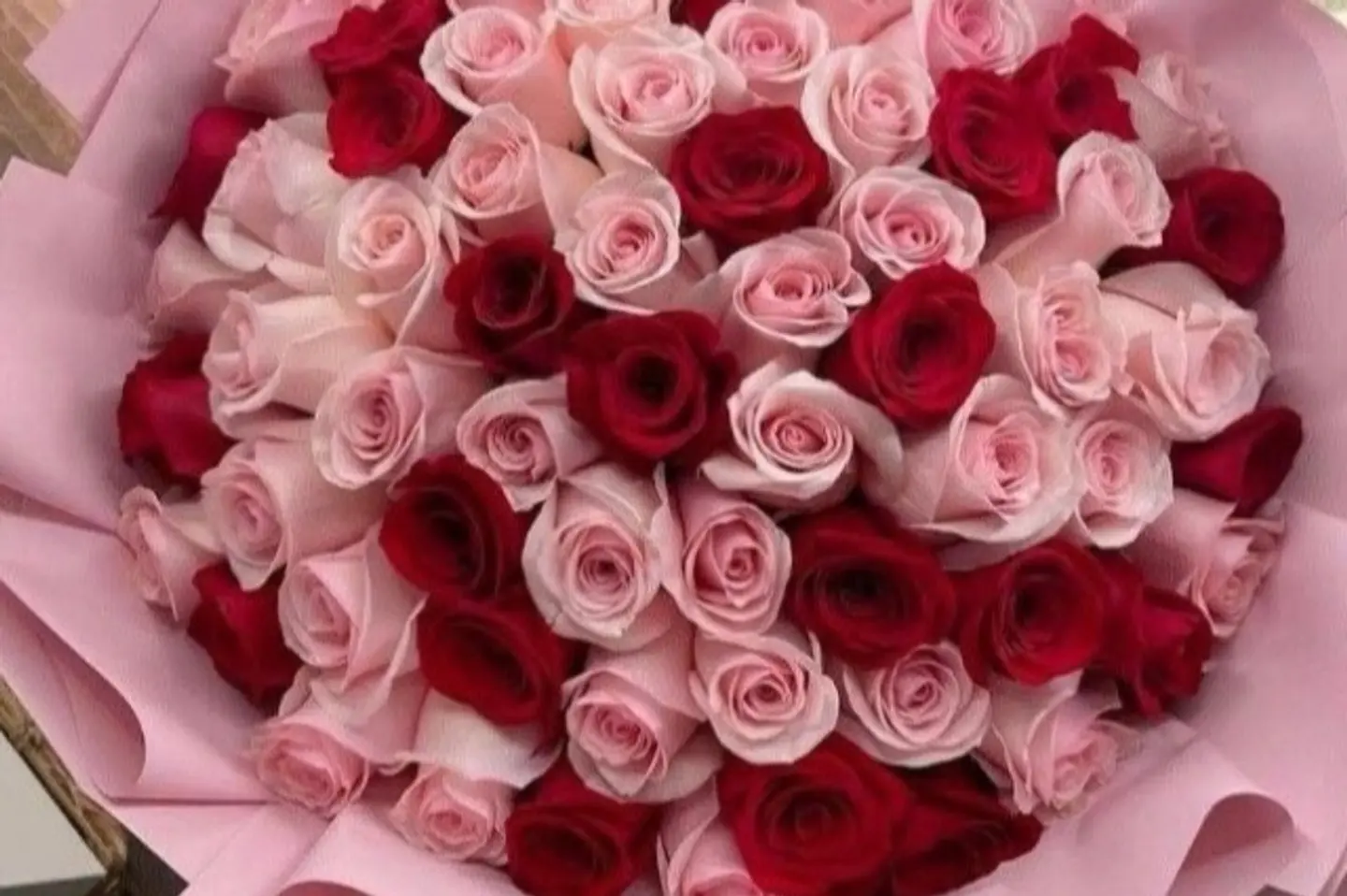 لؤلؤة الورد الأحمر ٦٥