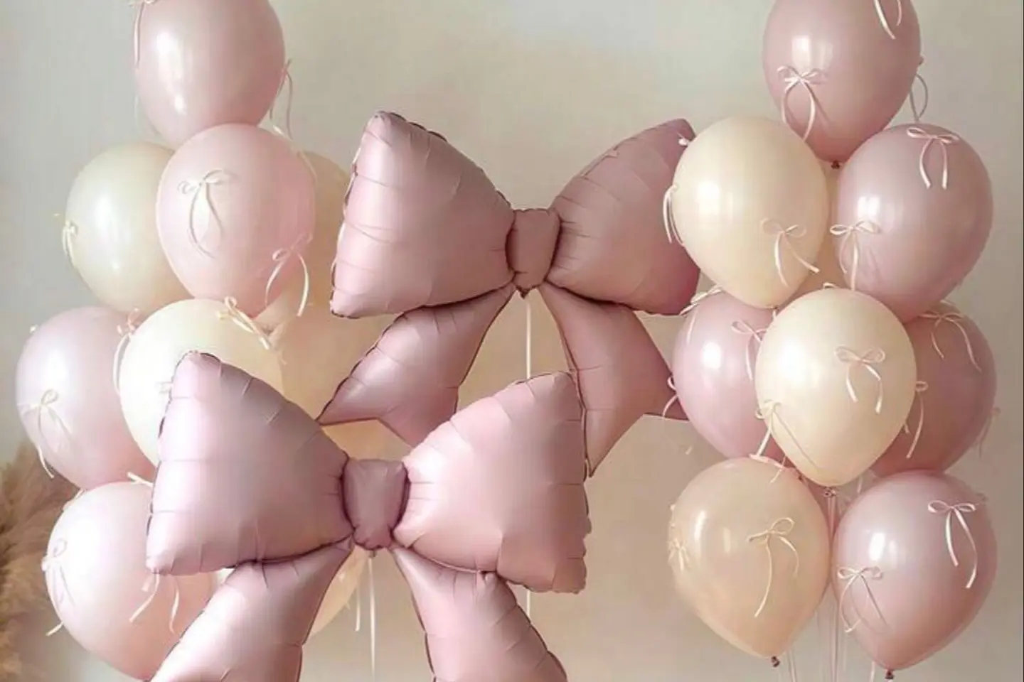 بكج فيونكة عشرقطع