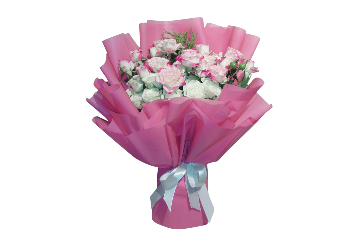 باقة ورود بيبي روز ثنائية اللون مع زهور بيضاء وسوليداغو