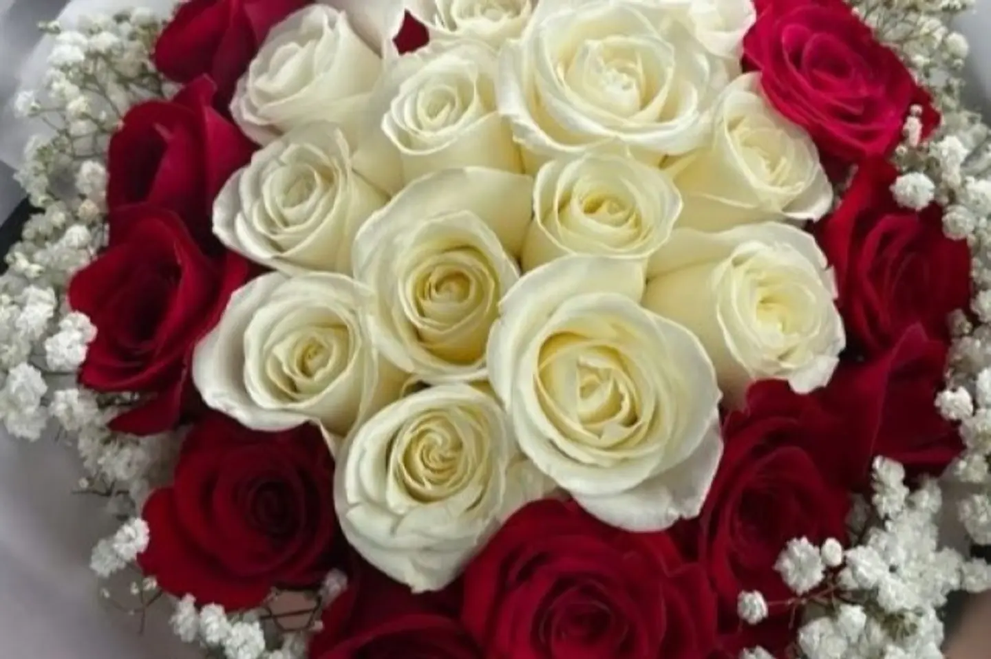 نقاء الأحمر والأبيض ٣٠