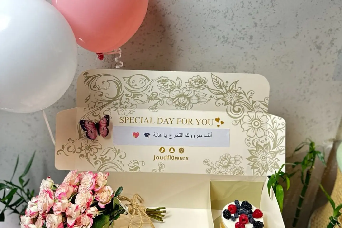 بوكس جود ٣