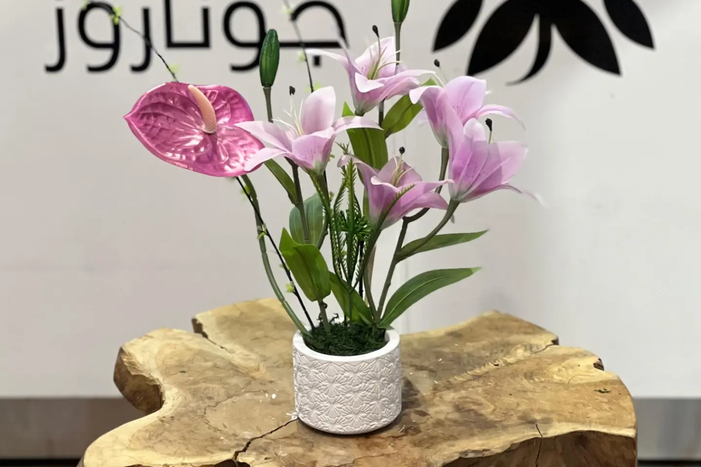 فازات جوناروز ١٧