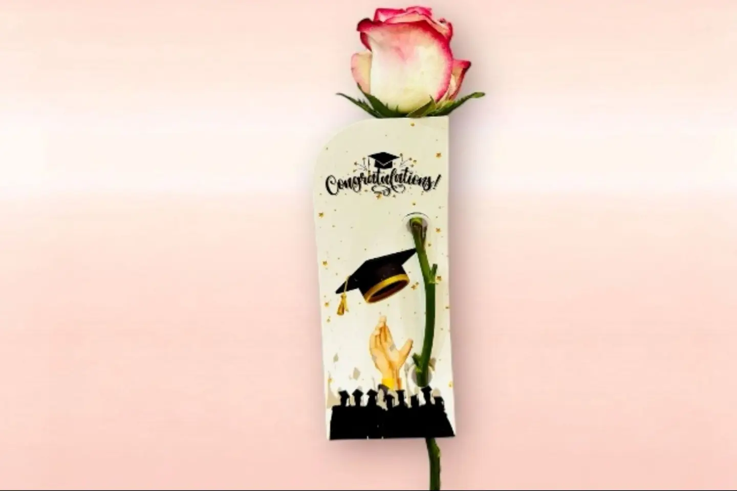 توزيعات التخرج دبل كلر