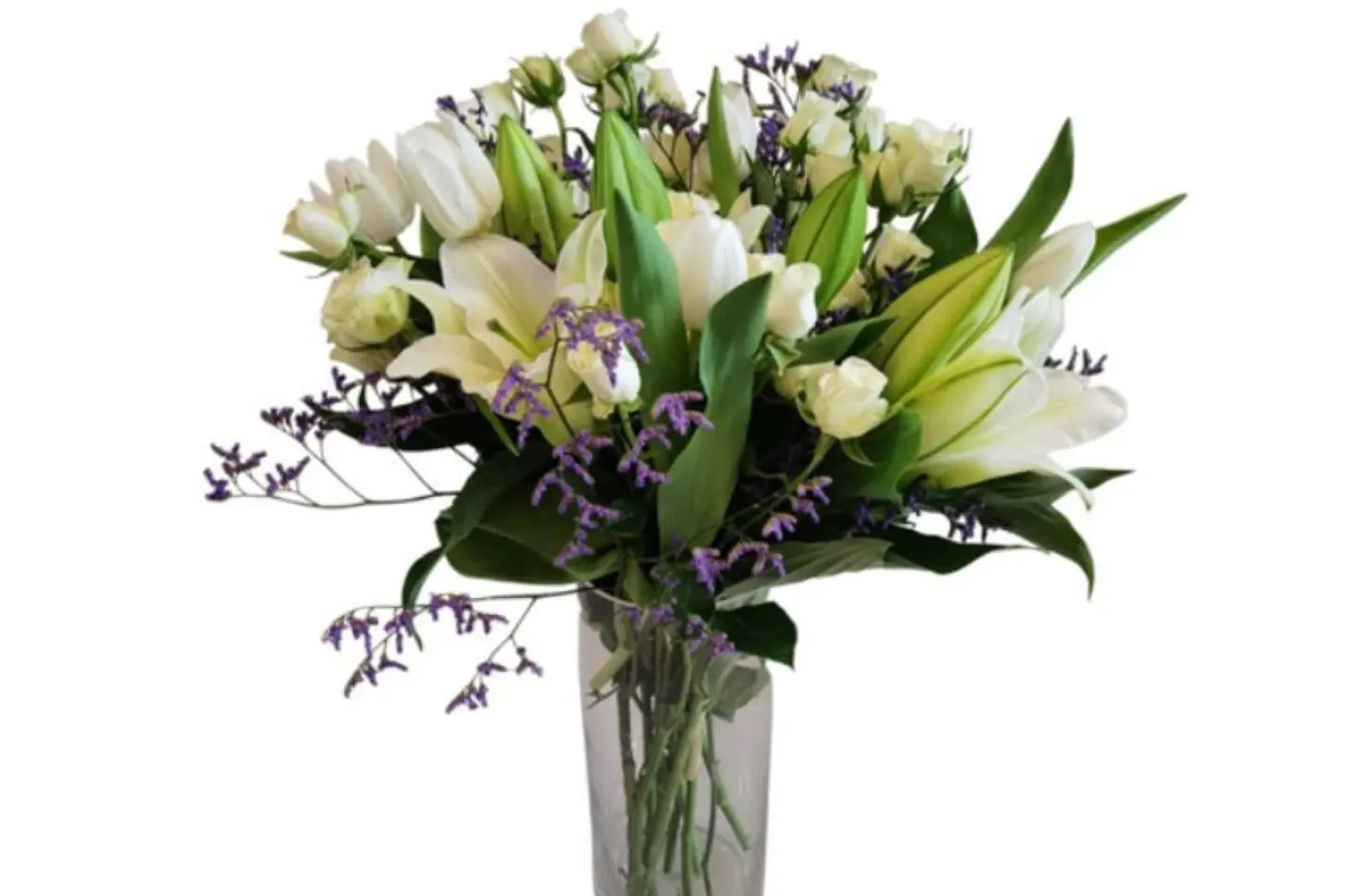 فازه الراحه