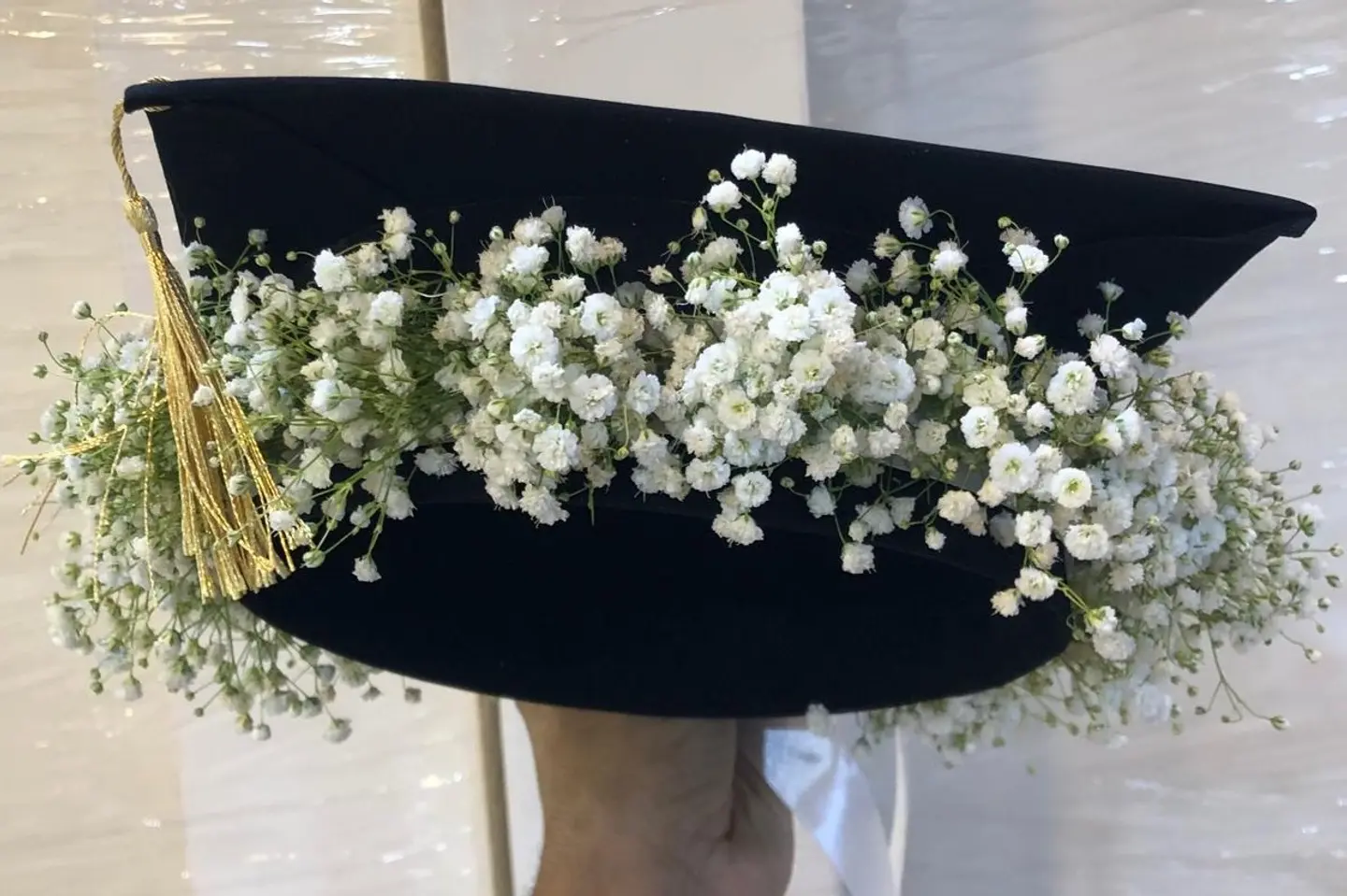 كاب التخرج بورد الجبس فيليا