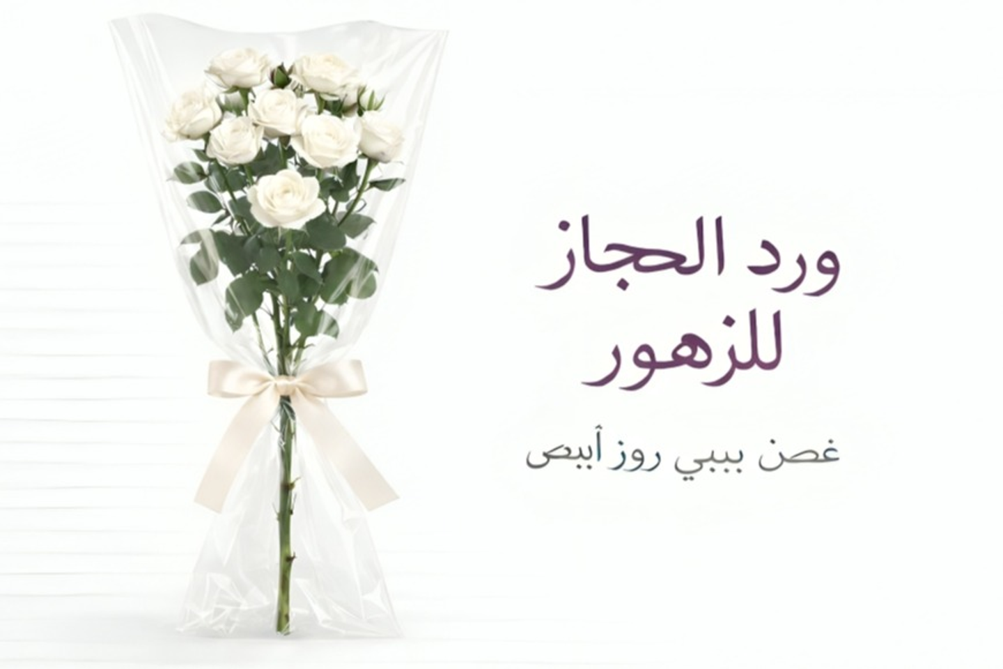 Roses   569