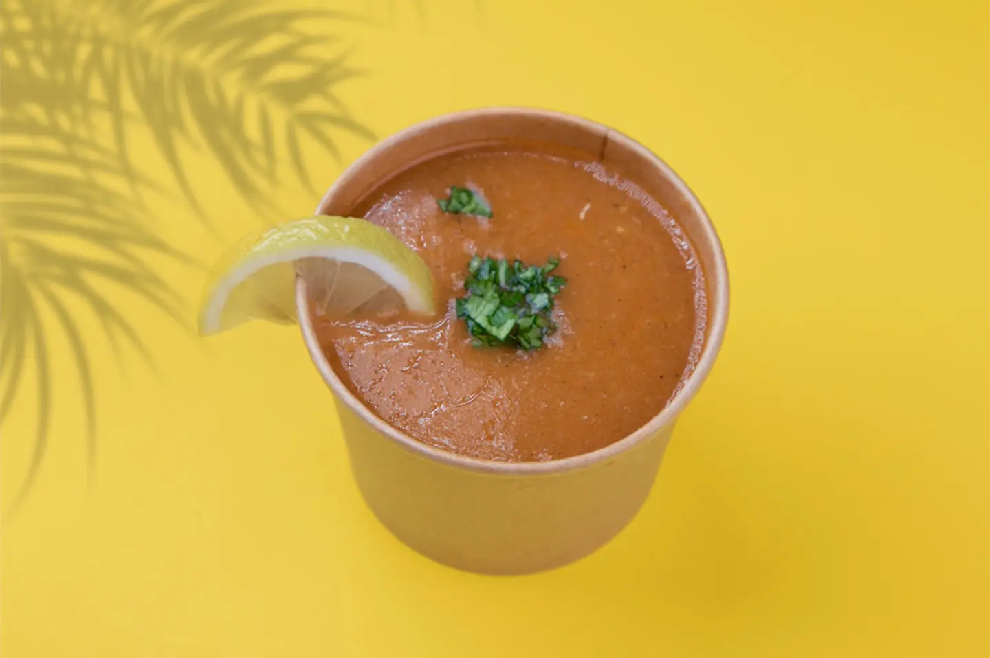 Shrimp Soup