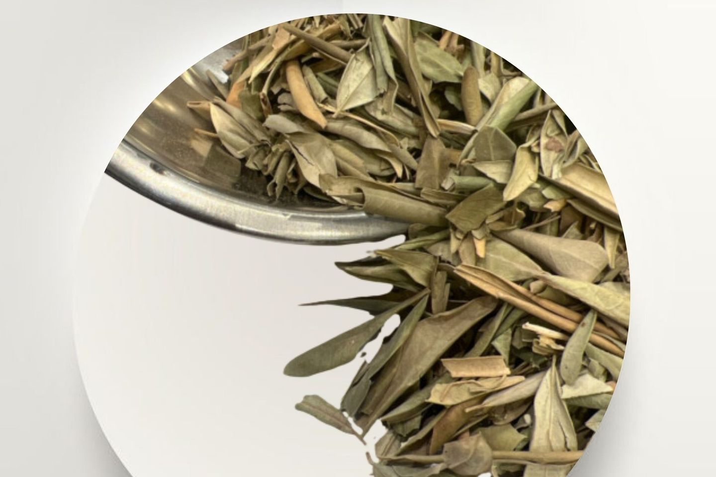 Olive Leaves 50g