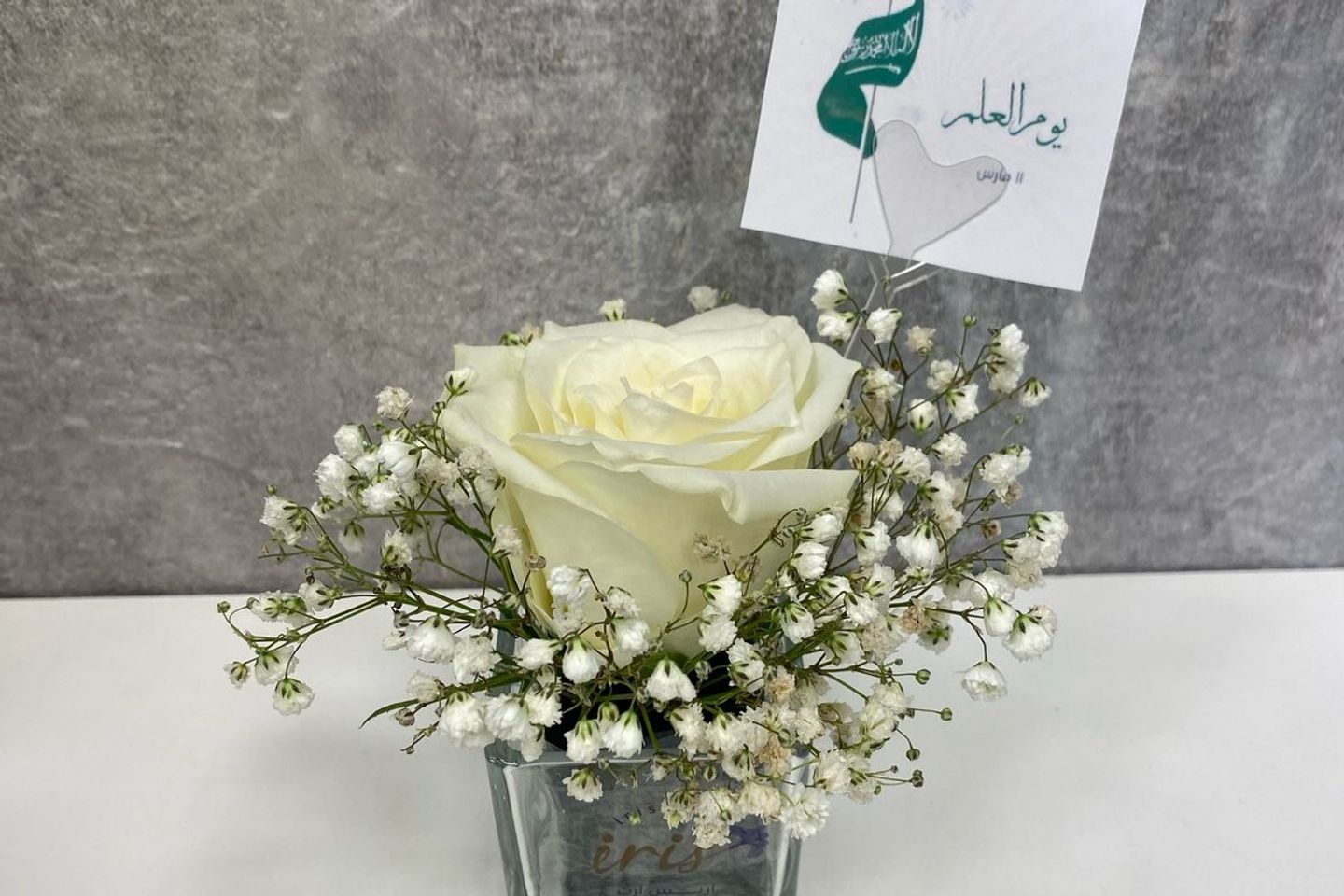 فازة يوم العلم