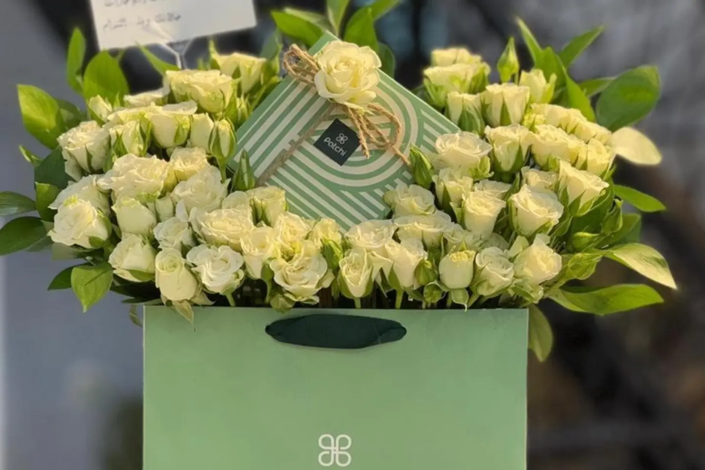 باتشيلان
