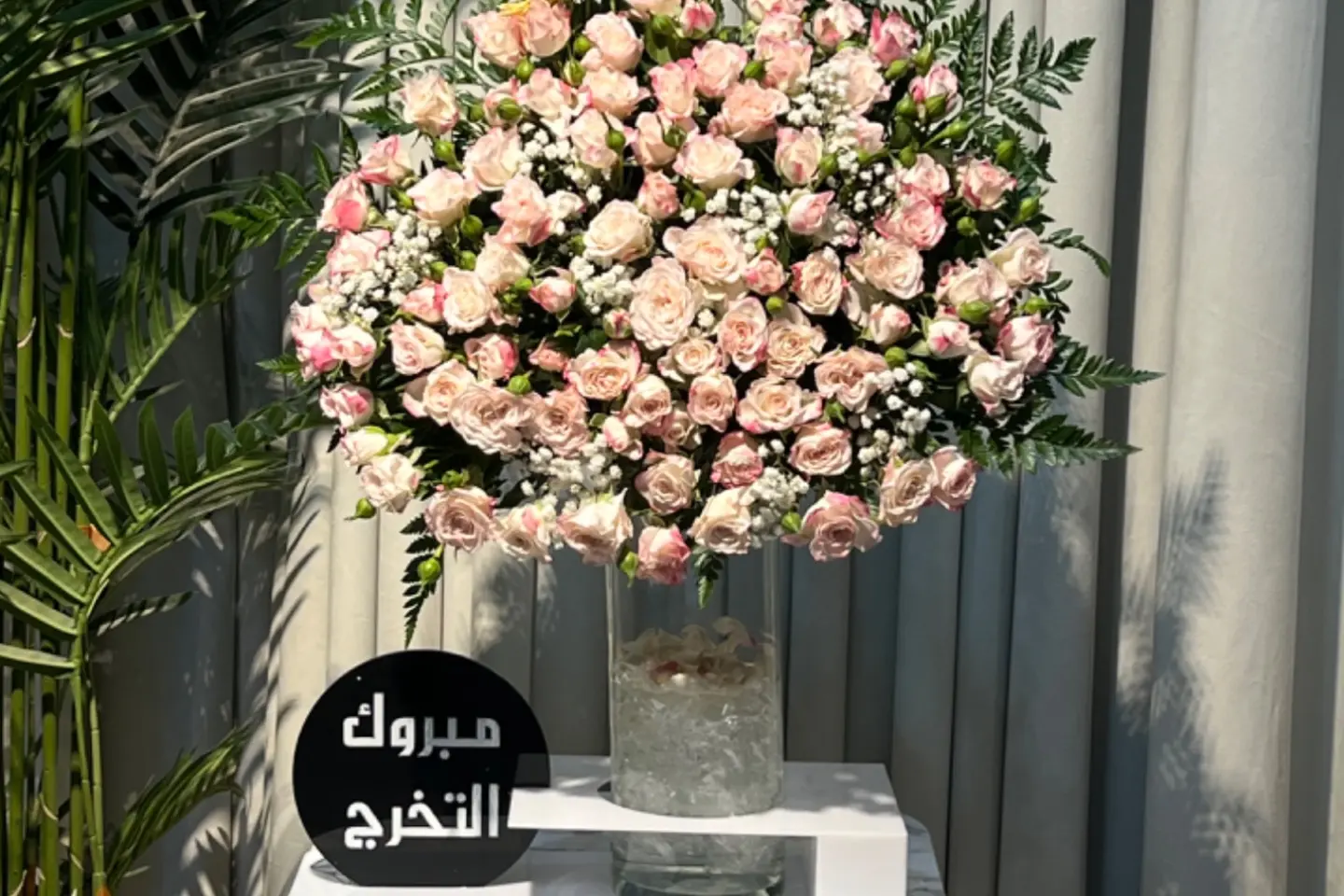 فازه معا ستاند تخرج