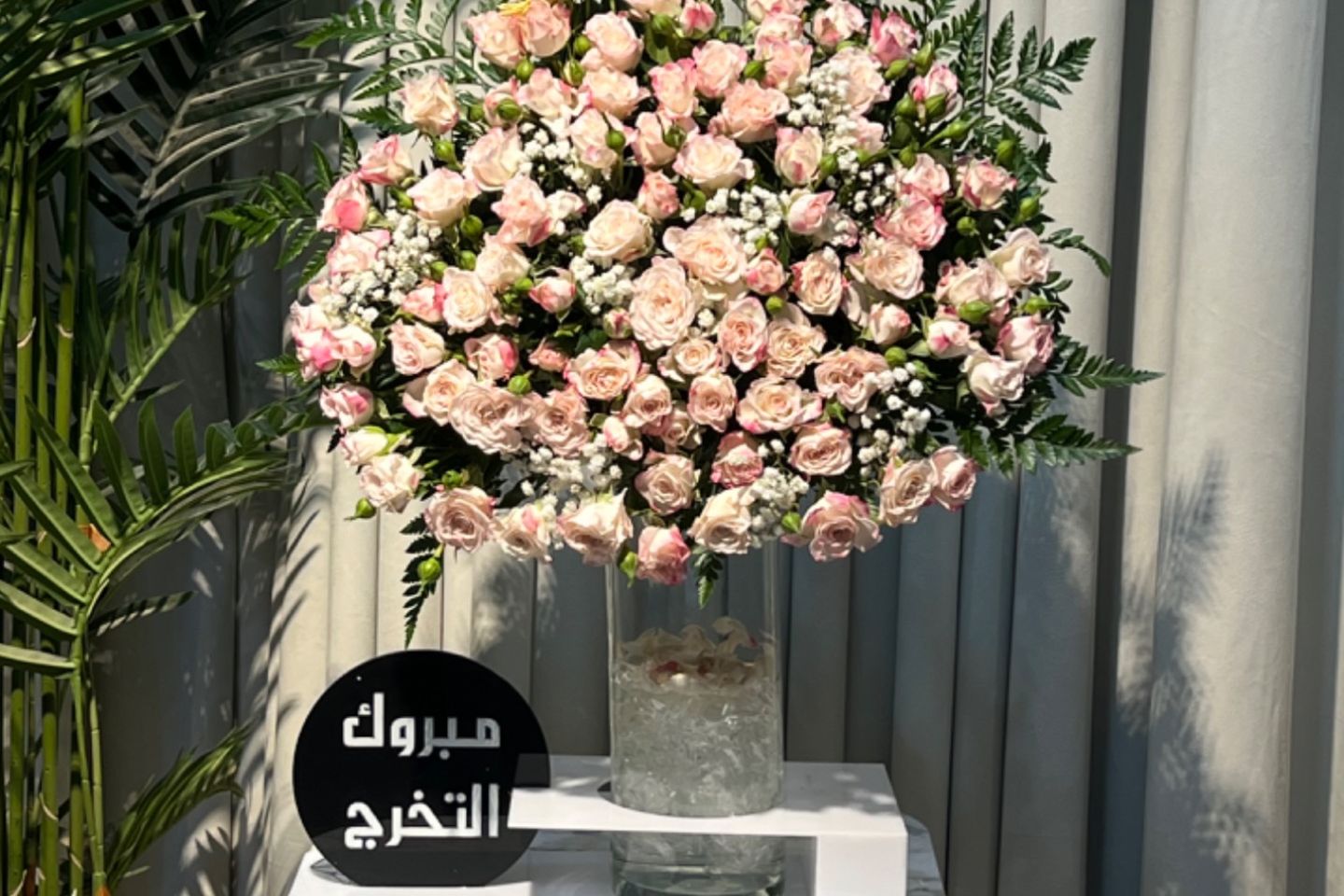 فازه معا ستاند تخرج