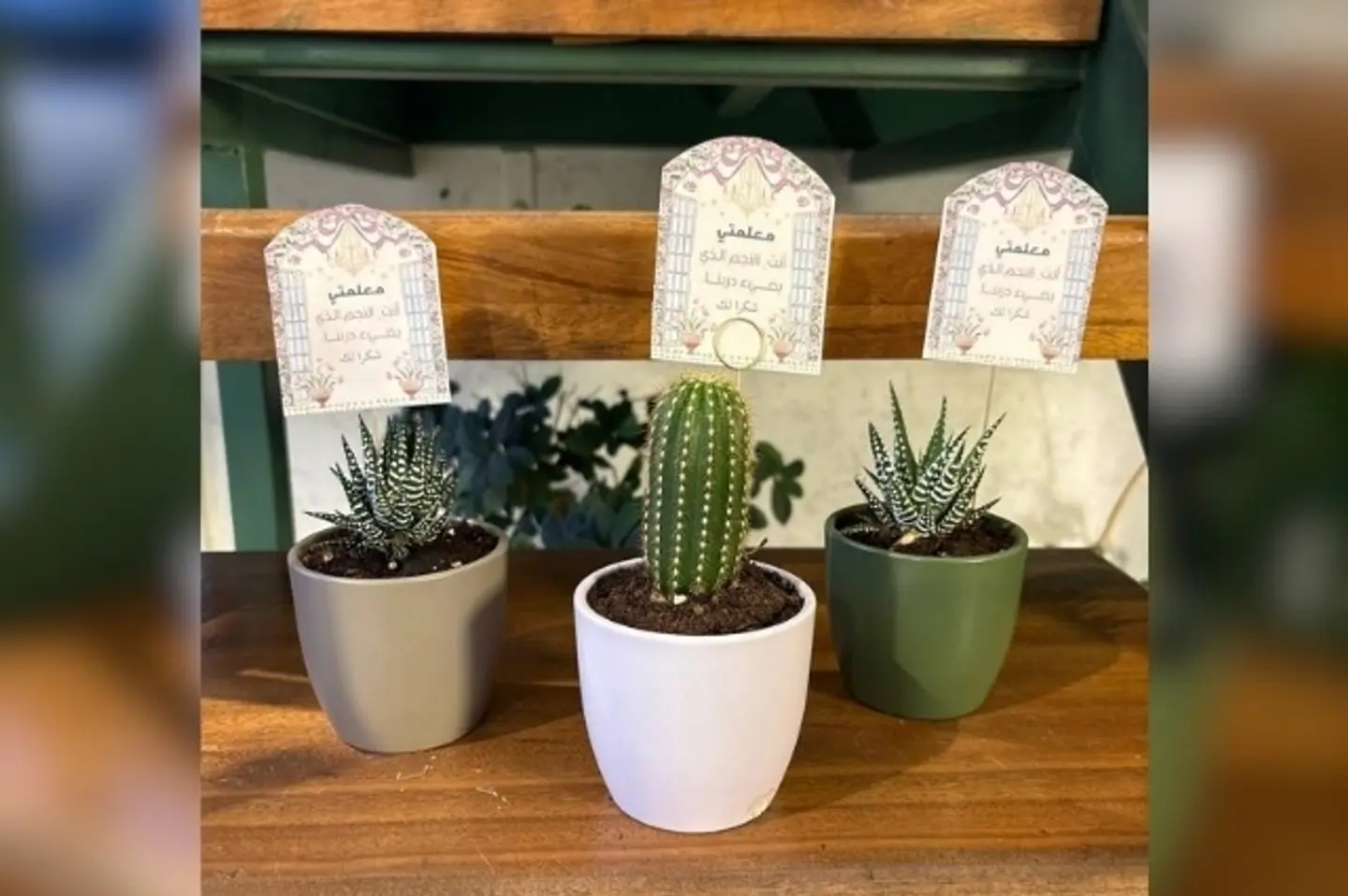 توزيعات نباتات يوم المعلم ٢