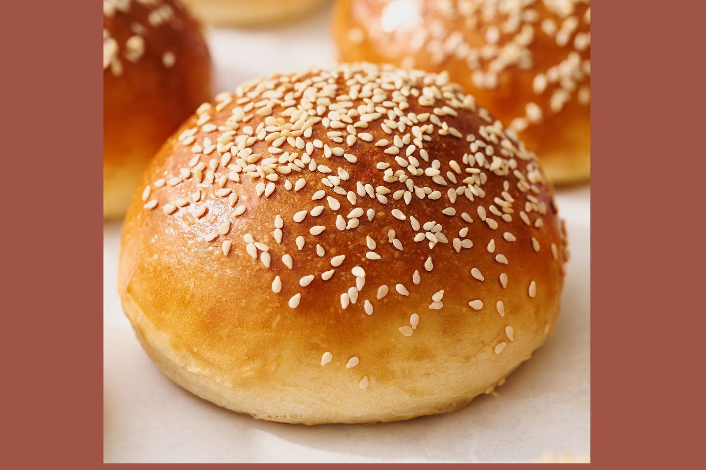 بيض
