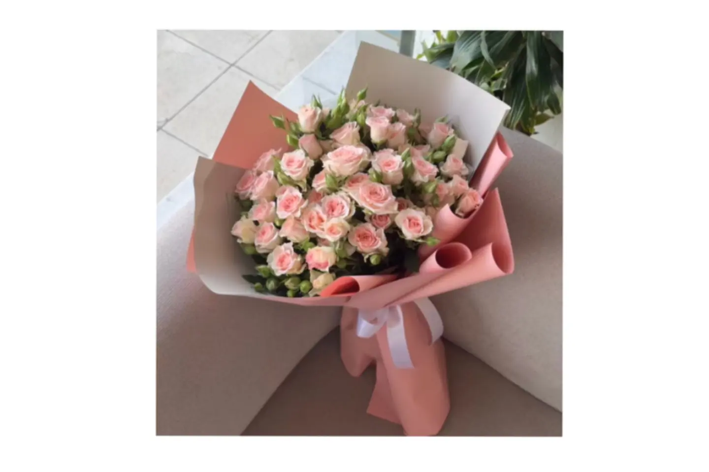 بوكيه بيبي جوري متوسط