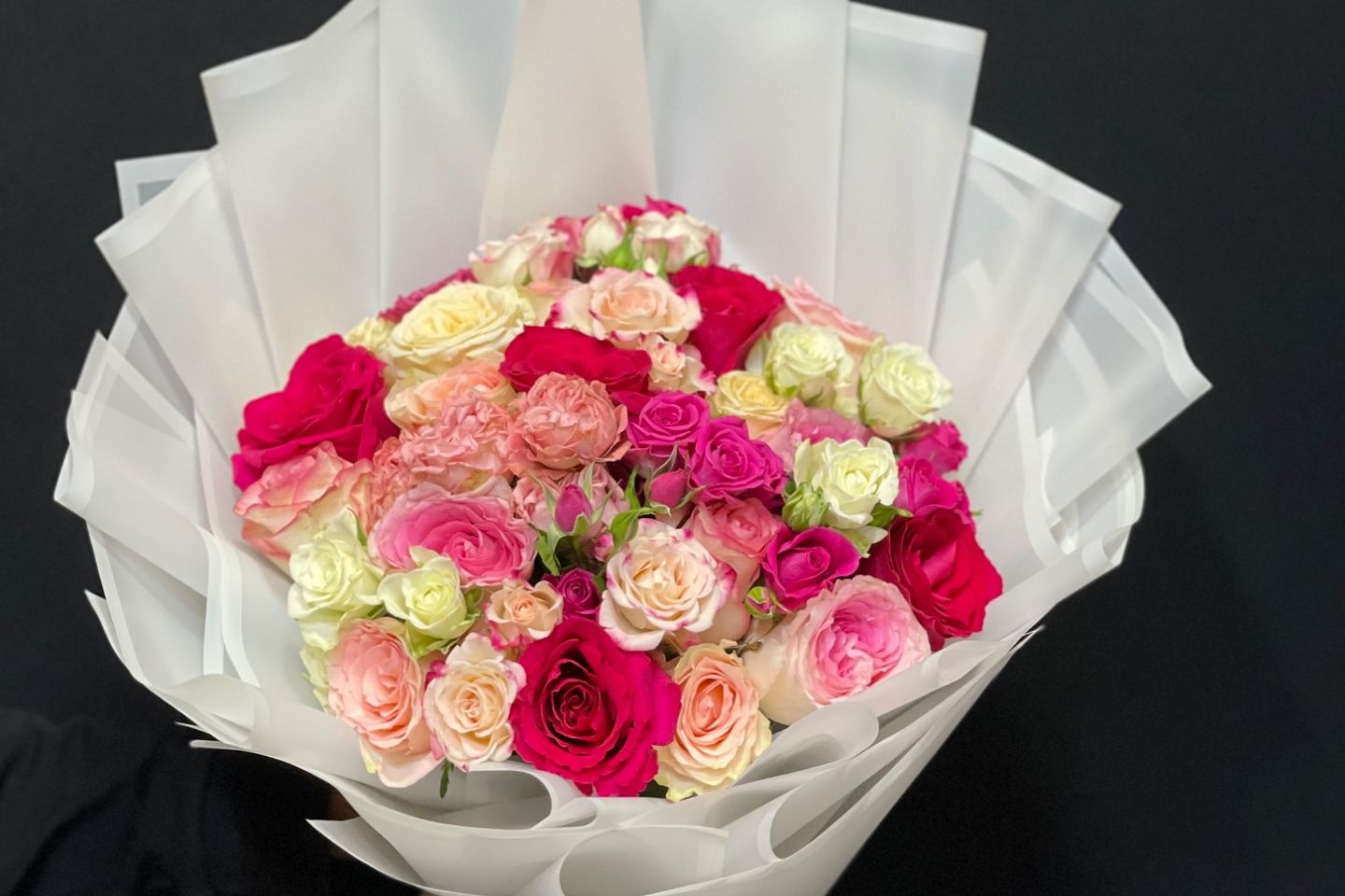 Rose 1