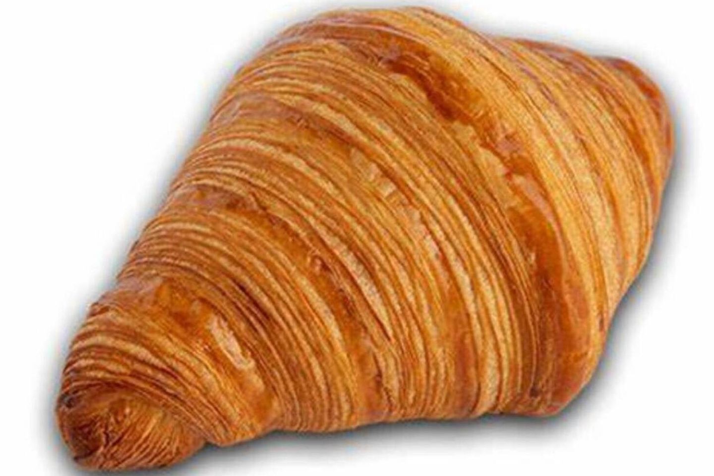 Cheese Croissant