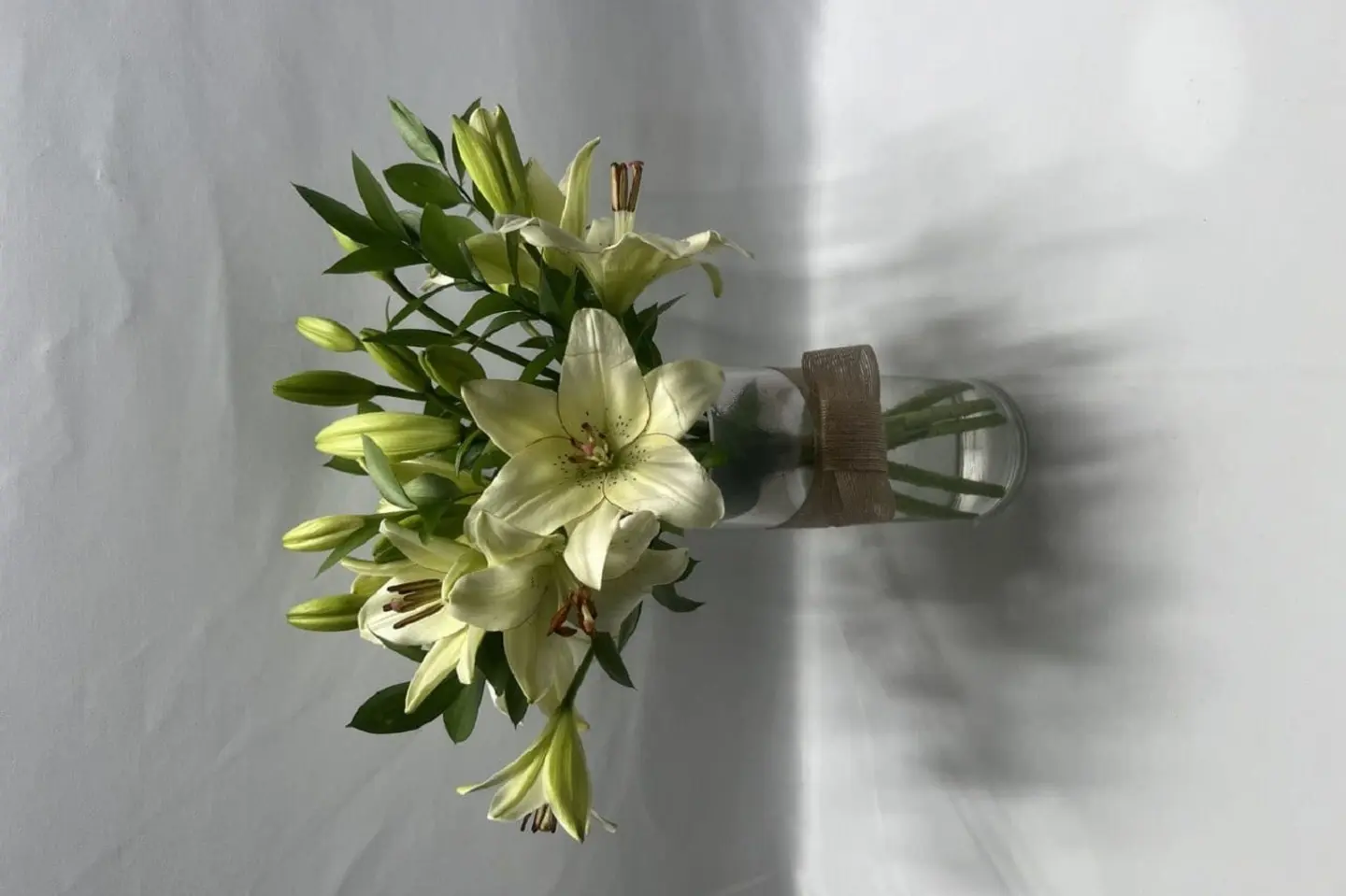 وردة و شتلة ٠٠١٥١